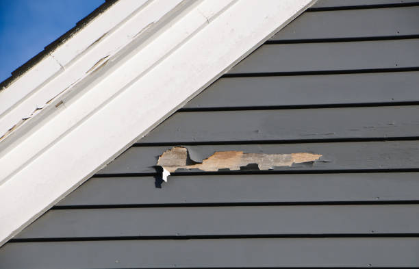 Oshkosh, WI Siding Installation & Repair Company