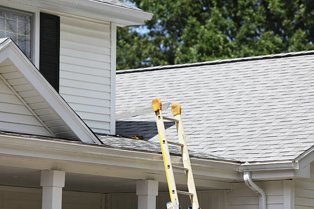Best Custom Trim and Detailing for Siding  in Oshkosh, WI